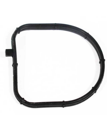 Прокладка корпуса термостата  C-6.6 2818744